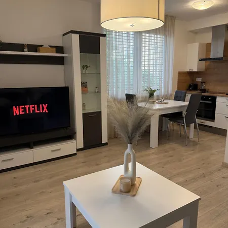 The Elite Iv Downtown Ac & Garage Parking *