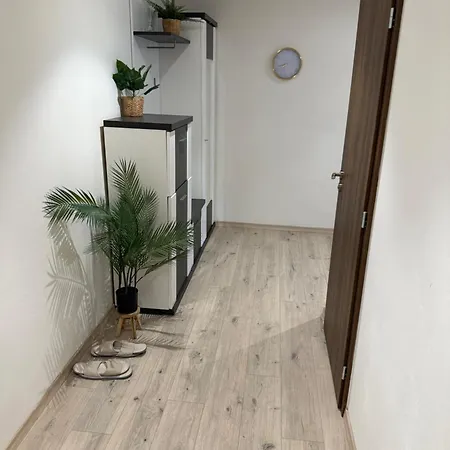 The Elite Iv Downtown Ac & Garage Parking Apartment