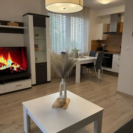 Apartament The Elite Iv Downtown Ac & Garage Parking *